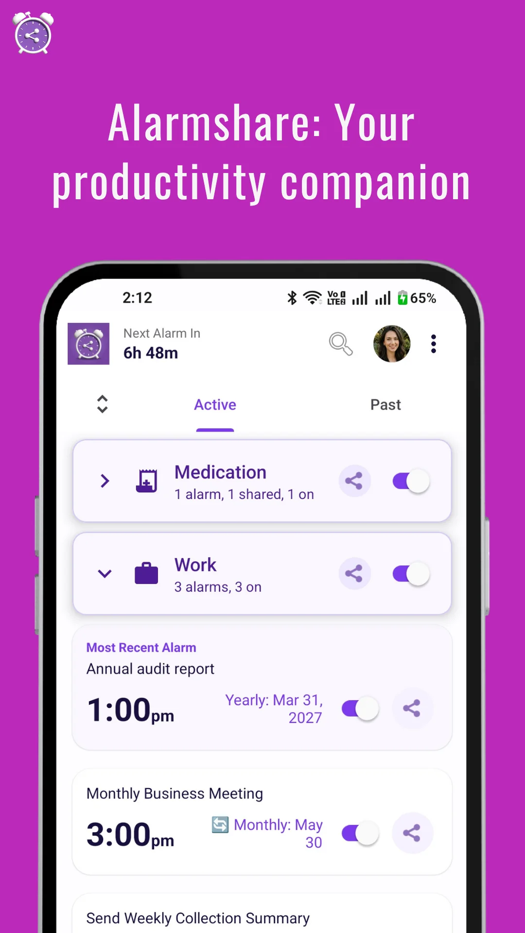 Productivity companion